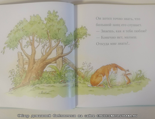 Обзор книги: Знаешь, как я тебя люблю? – зайчик держит уши большому зайцу