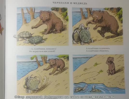 Обзор книги: Рассказы в картинках – Черепаха и медведь