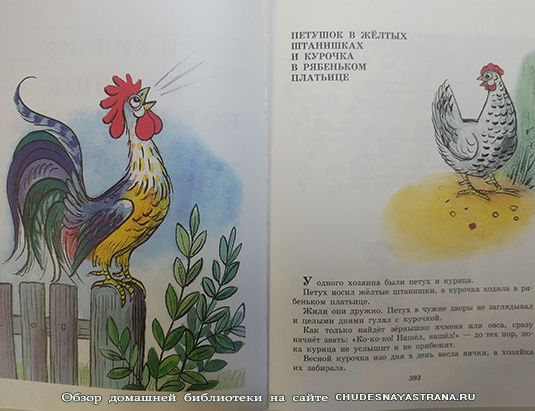 Обзор книги: Сказки в картинках Сутеева — Петушок в желтых штанишках и курочка в рябеньком платьице