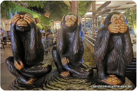 Три обезьянки, Эйлат
